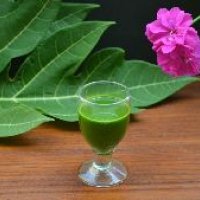 Papaya Leaf Juice