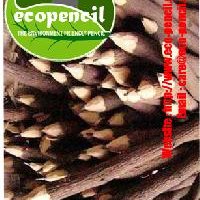 Neem Pencils