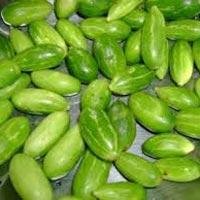 Coccinia Indica Extract