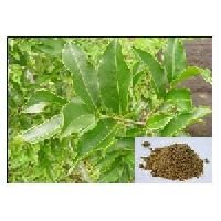 Salacia Reticulata Extract