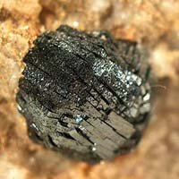 228937-1.jpg