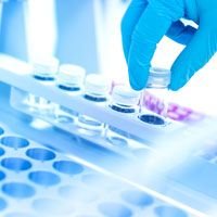 Molecular Biology Reagents