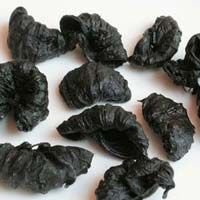 Garcinia Cambogia Dry Extract