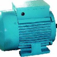Mill Duty Motors