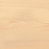 Birch Wood