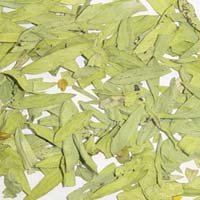 Cassia Angustifolia Extract