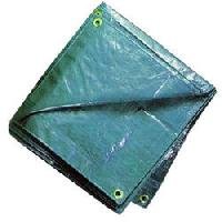 243989-329.jpg