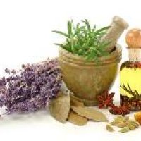 Herbal Crude Drugs