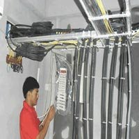 249044-344.jpg