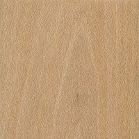 Sycamore Wood