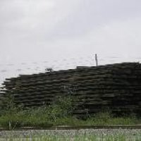 251740-1.jpg