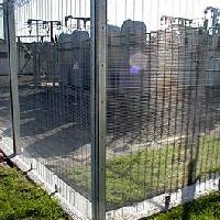 252812-1.jpg