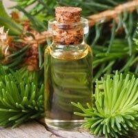 Cedar Leaf Oil