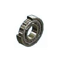 Double Row Cylindrical Roller Bearings