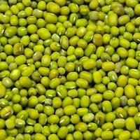 Bamboo Beans