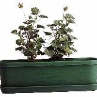 Window Pots