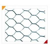 Hexagonal Mesh