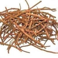 Rubia Cordifolia