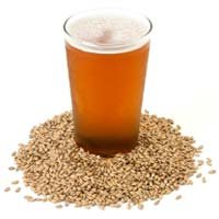 Malting Barley