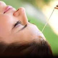266532-964.jpg