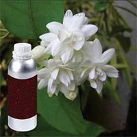 Mogra Oil