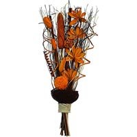 Exotic Dried Flowers