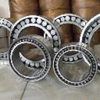 Toroidal Roller Bearing