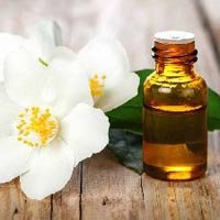 Jasmine Grandiflorum Oil