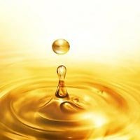 Yellow Grease