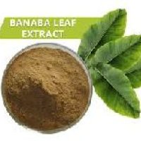 Banaba Leaf Extract