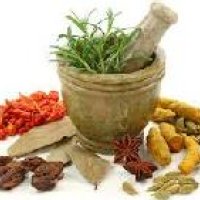 Pure Ayurvedic Medicines