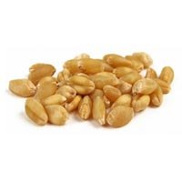 Bansi Wheat