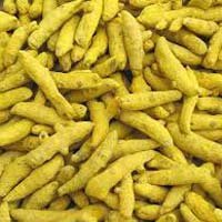 Finger Turmeric