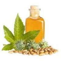 Crude Castor Oil