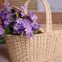 Portable Basket