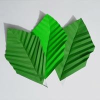 292464-1.jpg
