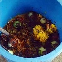 Bio Extract