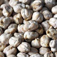 Dollar Chana
