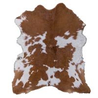Skin Carpet