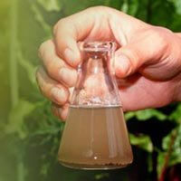 Water Analysis Services