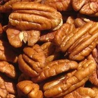 Pecan Nuts
