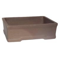 Bonsai Tray