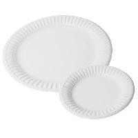 Disposable Polystyrene Plates