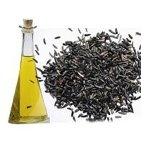 Niger Seed Oil