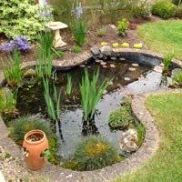 Garden Pond