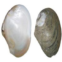 312185-324.jpg