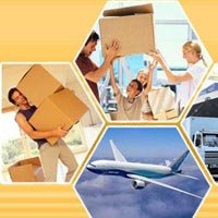 Transit Insurance Services