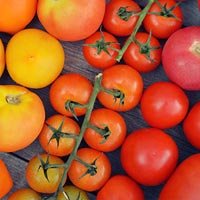 Lycopene