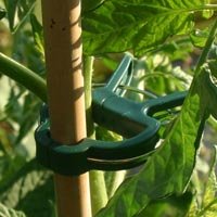 Plant Clip