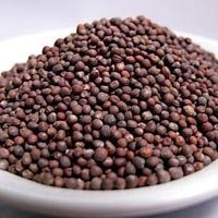 313561-1.jpg